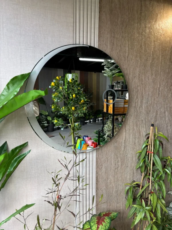 מראת pure circle
